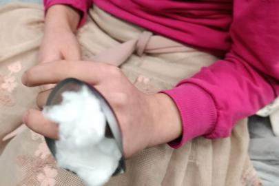 Ağrı’da 9 yaşındaki Hafsa’nın parmağı metale sıkıştı!