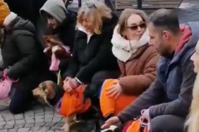 Ankara'da hayvanlar için eylem yapanlar sokak köpeğini uzaklaştırdı