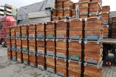 Bursa Büyükşehir'den arıcılara kovan desteği