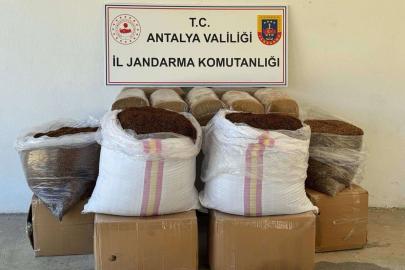Gazipaşa'da kaçak tütün operasyonu