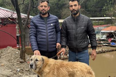 Paşa'yı canı pahasına korudu, akıntıya kapılmaktan son anda kurtardı