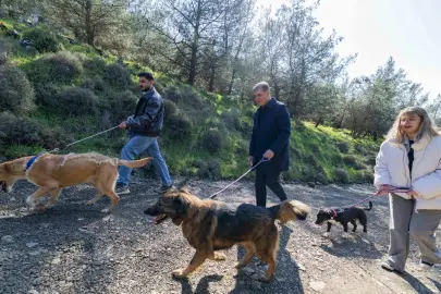 İzmir Büyükşehir'den sahipsiz hayvanlar için çağrı