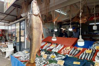 Karakaya Barajı’nda yakalanan 42 kiloluk turna balığı ilgi gördü