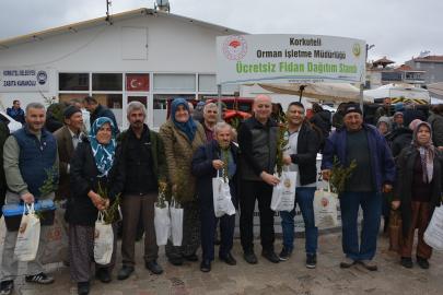Korkuteli'de fidan dağıtımı