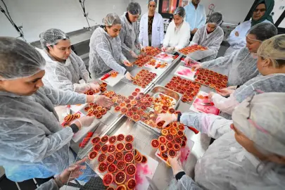 Mersinli kadınlar kan portakalını geleceğe taşıyor