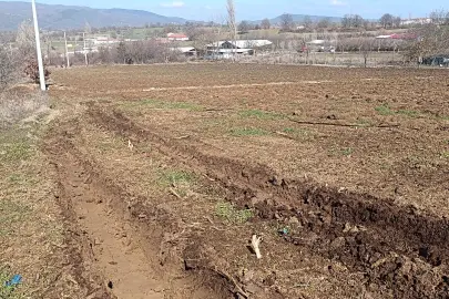 Pazaryeri’nde 'yüksek gerilim' tarım arazilerini zora soktu!