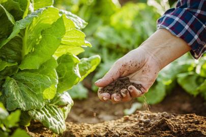 Tarımda zararlılarla mücadelede yöntem önerileri