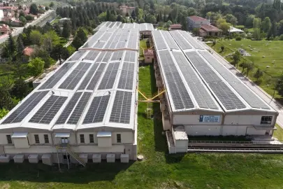 854 ton karbon salınımı önlenerek 34 bin ağaç korundu