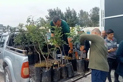 Alanya’nın coğrafi işaretli keçiboynuzuna destek