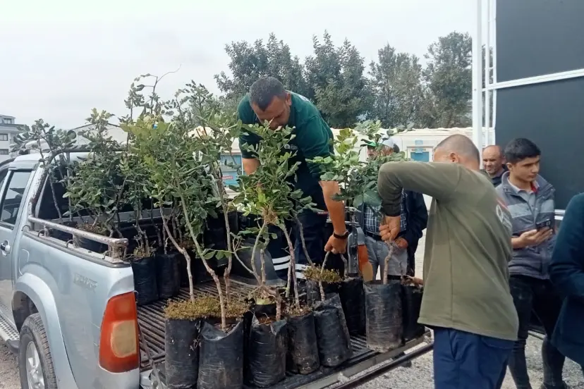 Alanya’nın coğrafi işaretli keçiboynuzuna destek