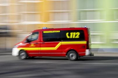 Almanyada alışveriş pasajında bir kurt kadına saldırdı