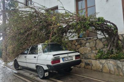 Bodrum’da tam fırtına günlük yaşamı olumsuz etkiledi