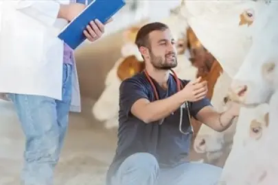 Denizli Büyükşehir’den üreticiye sahada destek