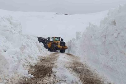 Hakkari’de 46 yerleşim yolu ulaşıma kapandı