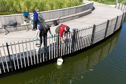 İzmit Millet Bahçesi’nde su göletine bilimsel çalışma