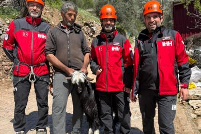 Kayalıkta mahsur kalan keçiler kurtarıldı