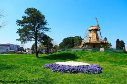 Sakarya’da baharın büyüleyici cümbüşü