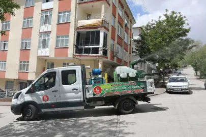 Ankara Keçiören'de çevre ilaçlanıyor