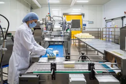 Bayındır Süt İşleme Tesisi’nde çarklar dönüyor