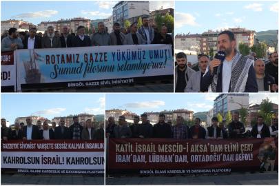 Bingöl'den işgal rejimine tepki: Aktivistler derhal serbest bırakılmalı