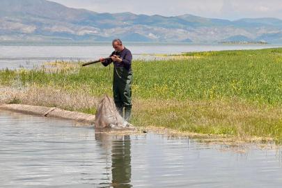 Elazığ'da kaçak avlanan 7,5 ton balık ele geçirildi