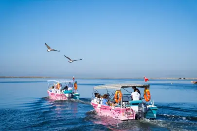 Flamingo Yolu turları bayramda da devam ediyor