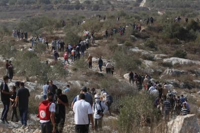 İşgalci İsrail Maliye Bakanı: Batı Şeria'da Filistinlilere ait 3 bin ağacı söktük