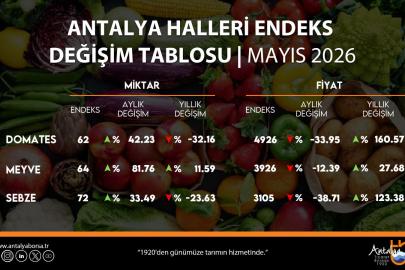Antalya halleri domates, meyve ve sebze değişimleri