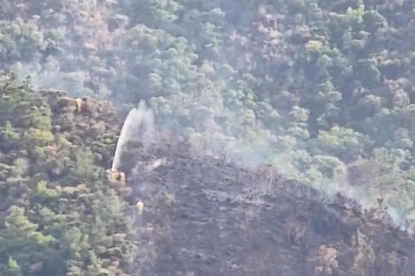 Marmaris'te ormana yıldırım düştü, yangın çıktı (2)