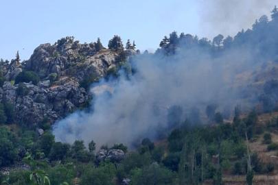 Alanya'da zirai alanda çıkan yangın söndürüldü