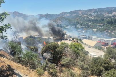 Bodrum'da konteynerde çıkan yangın makilik alana sıçradı