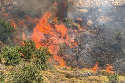 Bodrum'da otluk ve makilik alanda yangın (2)