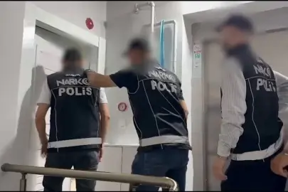 İstanbul'da narkotik 45,5 kilogram skunk ele geçirildi