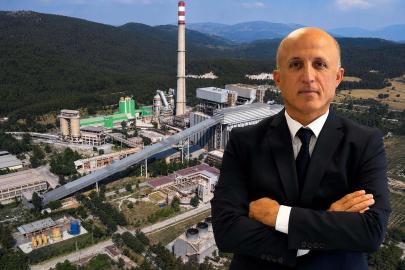 Milas'ta bilimsel yöntemlerle taşınan zeytin ağaçları, bir yıl dolmadan yeniden meyve vermeye başladı