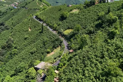 Ordu'da 3,5 kilometrelik asfalt tamamlandı