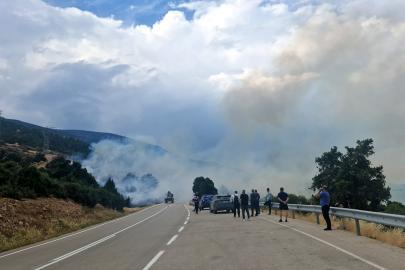 Orman yangını büyümeden söndürüldü