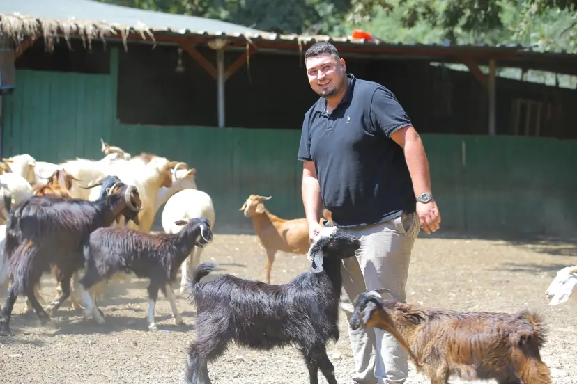 Adak kesimine gitti hayatı değişti! İki oğlakla başladı, 500 hayvana ulaştı