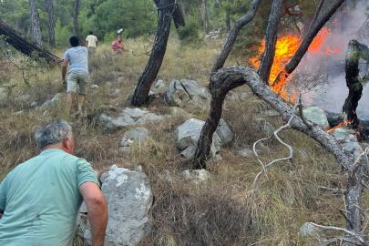 Antalya'da orman yangını (3)