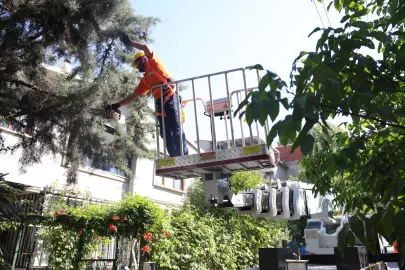 Bursa Osmangazi’de yeşil alanlara titiz koruma