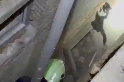 Havalandırma boşluğuna düşen kedi, kurtarma ekibini görünce kaçtı