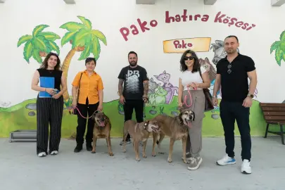 İzmir'de patili dostlar iş başında