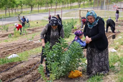 İzmir'in Mahalle Bostanları’nda yaz hasadı