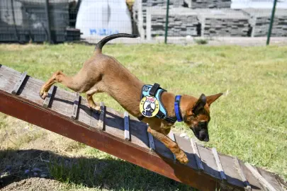 K9 ekipleri Başkent’te 7/24 görevde