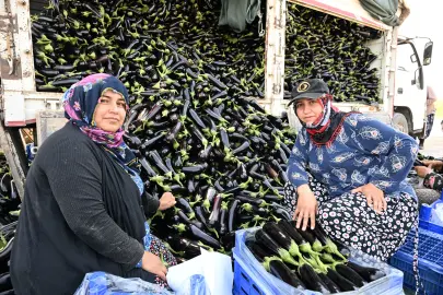 Manisa'da afetzede çiftçinin yüzü gülüyor