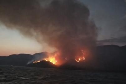 Marmaris'te orman yangını (3)