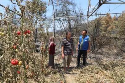 Muğla Seydikemer'de yangın sonrası seferberlik