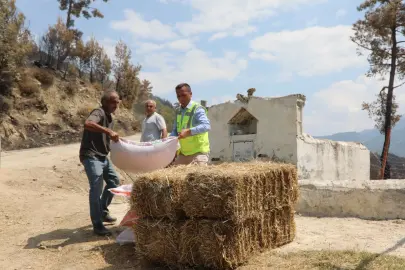 Muğla Seydikemer’de yaralar hızla sarılıyor