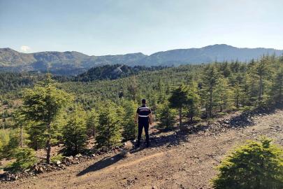 Muğla'da kıvılcım oluşturan makinelere yangın tedbiri