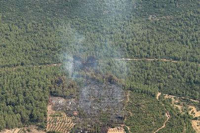 Muğla'da orman yangını (2)