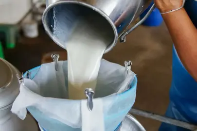 Süt ürünlerinde üretim arttı